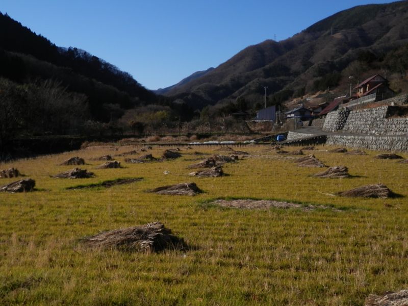 西のワラビタタキ方面を望む