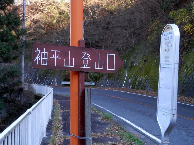 神の川入口バス停を通過