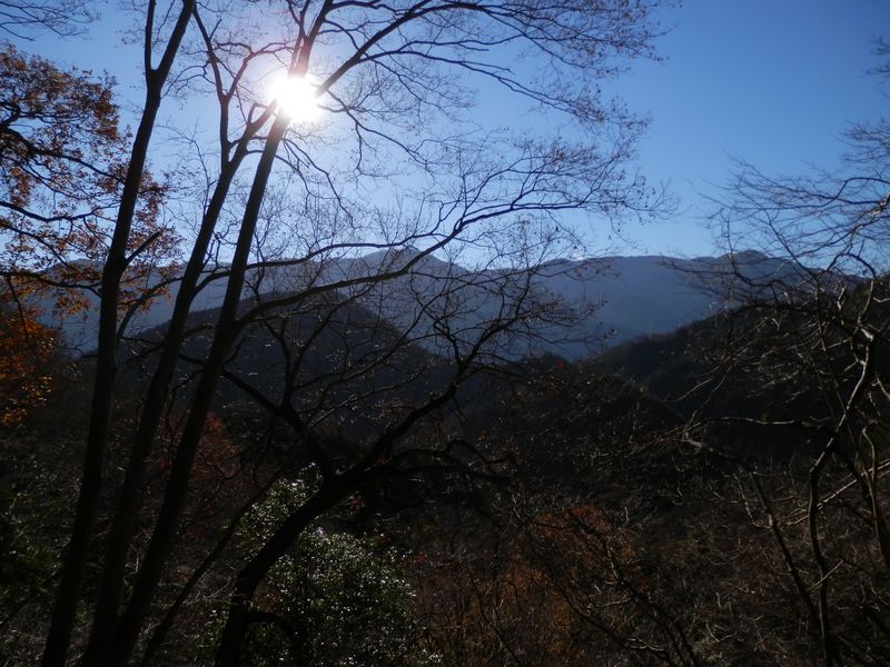 南に丹沢の山並み