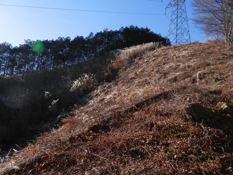 入道丸・ムギチロ -- 356号鉄塔の直下