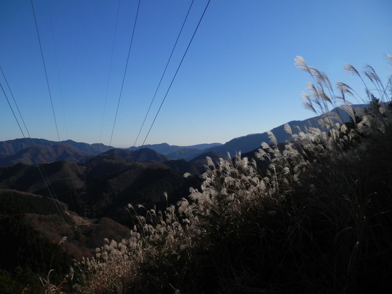 入道丸・ムギチロ -- 右手のススキの向こうに焼山