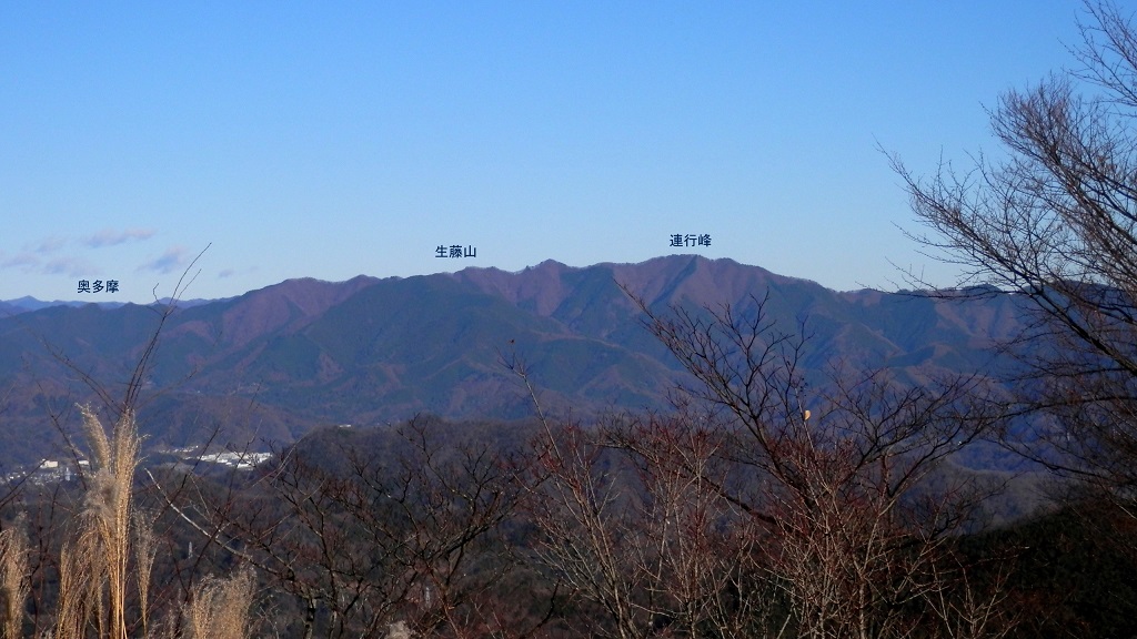 356号鉄塔より、笹尾根東部を望む