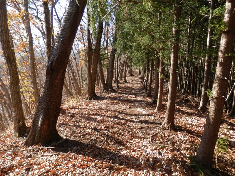 西の入道丸に向かう道