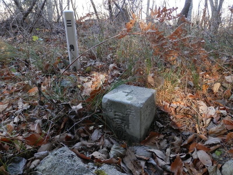 入道丸の三等三角点