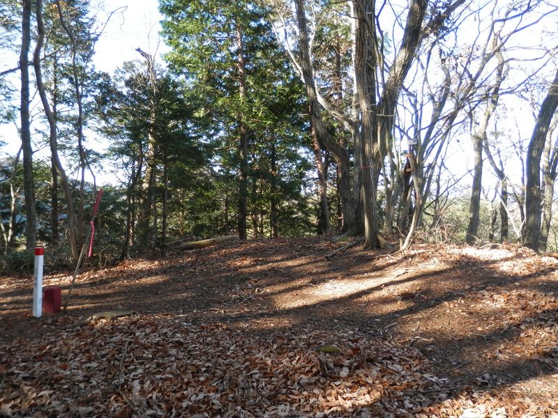 入道丸（三角点）に隣接する720m峰