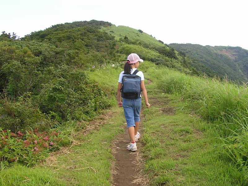 行く手に明神ヶ岳頂上が