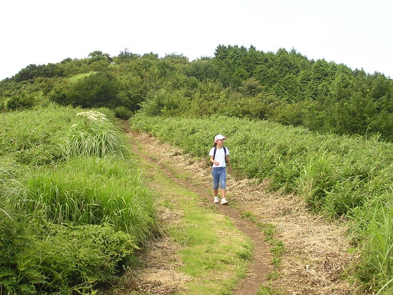 明神ヶ岳 -- 歩こう、歩こう、わたしは元気　♪