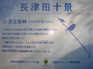 長津田十景:天王鶯林