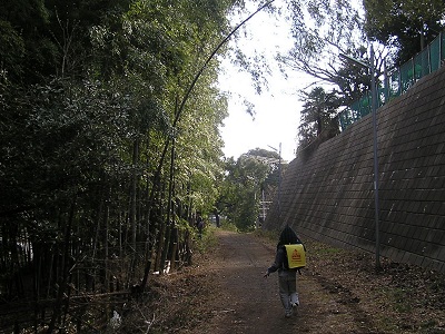 長津田十景:旧大山街道