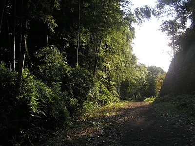 長津田十景:旧大山街道