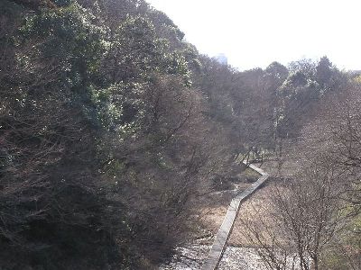 長津田十景:長月の谷戸