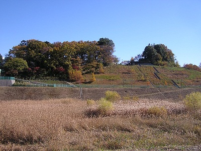 長津田十景:長津田みなみ台公園
