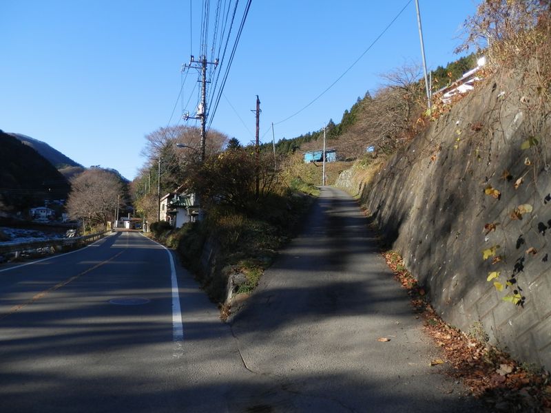 菜畑山への入口が分からないので、適当に登る