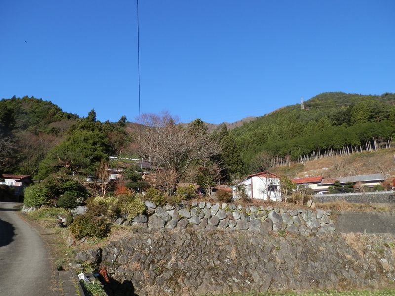 道標はないが、北を目指して登る