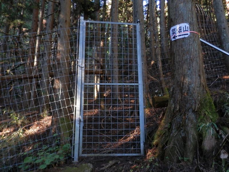 このゲートを見逃してロスタイム6分