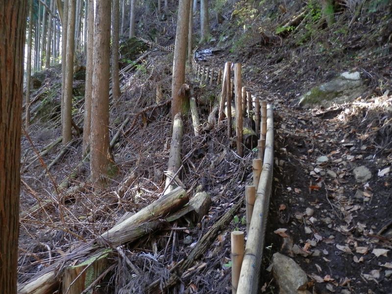 路肩が保護された急な登山道