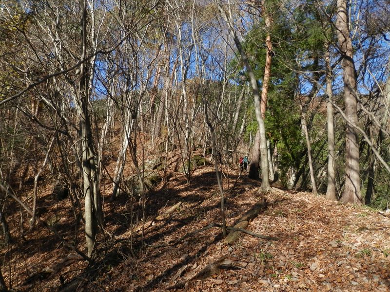 日当たりはよく、風もない