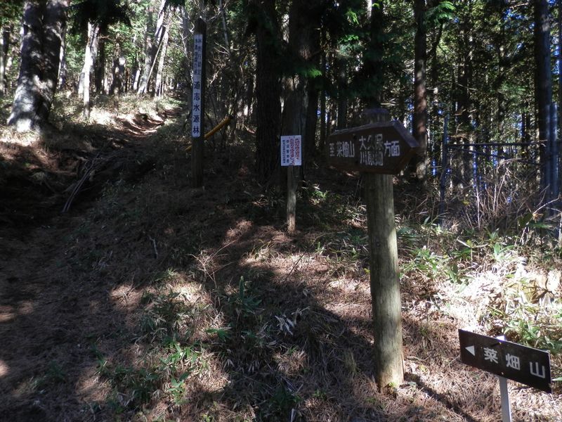 これより山道