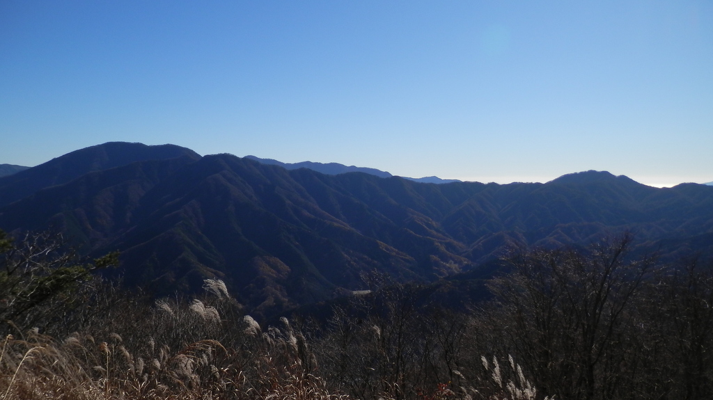 大室山と甲相国境尾根
