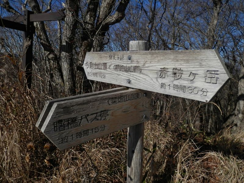 年季入りの道標