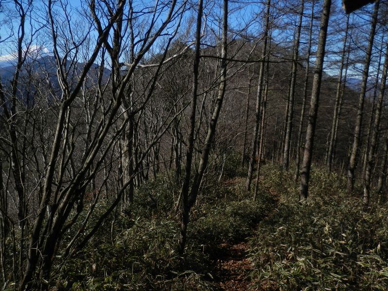 菜畑山から今倉山へ -- まず、目前の水喰ノ頭を目指す