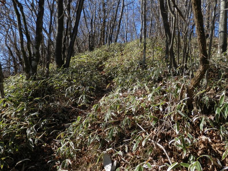 菜畑山から西へ -- あそこが今倉山だといいんだけど