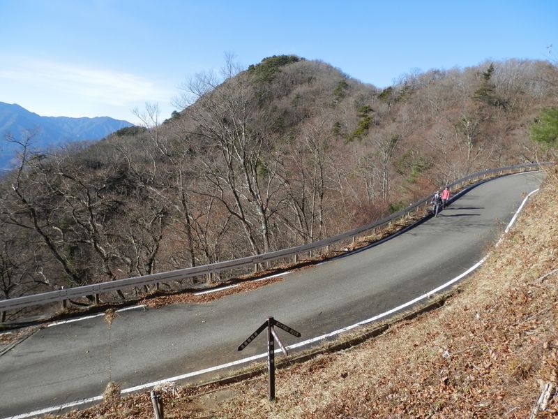 今倉山から西へ -- 二十六夜山の手前に林道