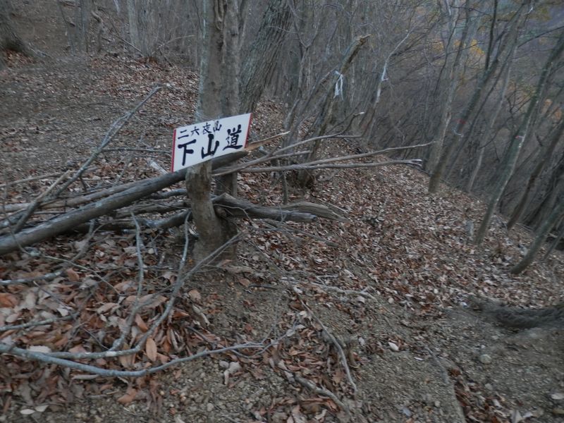 道志二十六夜山 -- これより斜面をジグザグに下る