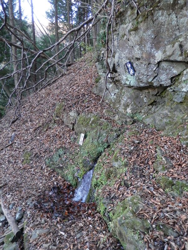 道志二十六夜山 -- 仙人水でリフレッシュ