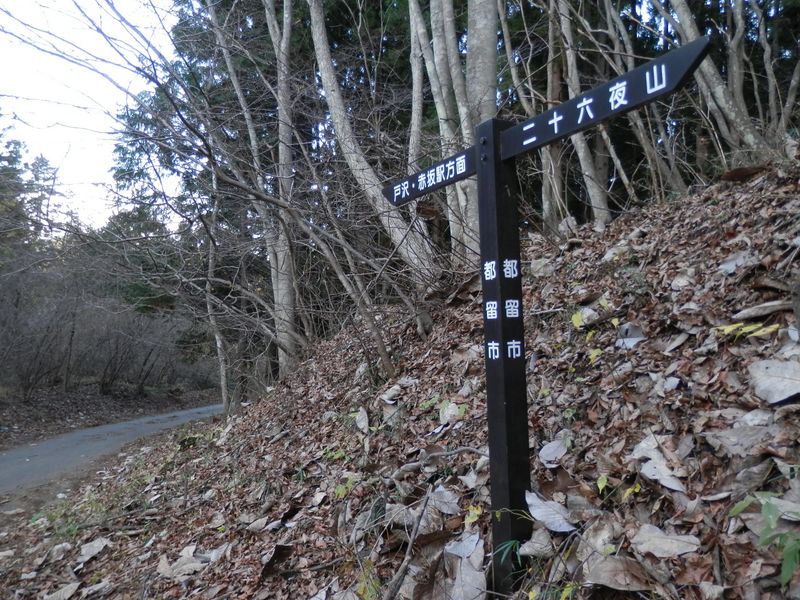 道志二十六夜山 -- これより林道