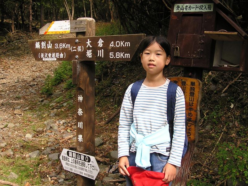 鍋割山 -- 二俣からもう少し林道を歩きます