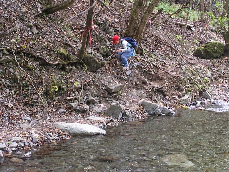 鍋割山 -- 浅い流れでも慎重に