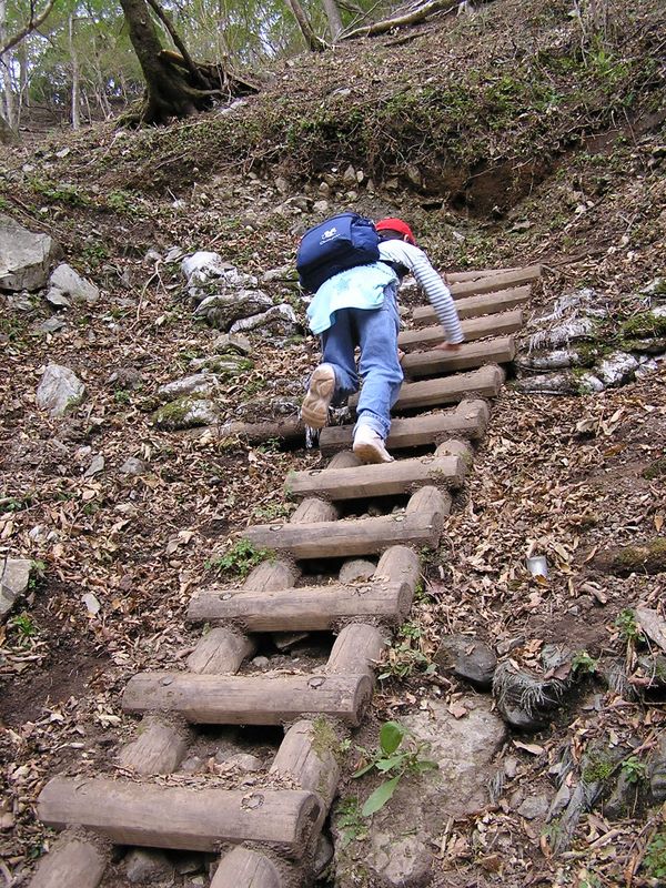 鍋割山 -- 後沢乗越への急斜面
