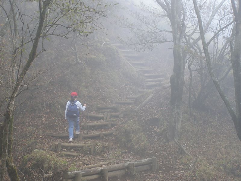 鍋割山 -- 濃いガスが尾根を覆います