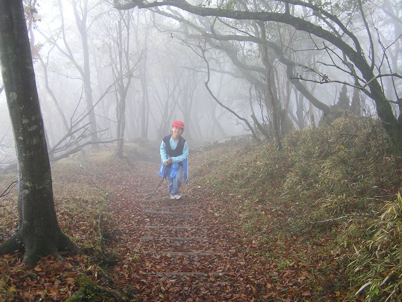 鍋割山 -- ますますガスが濃くなりました