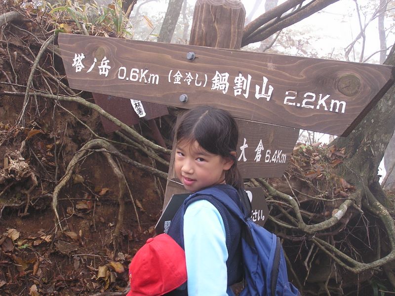 塔ノ岳には行かず、ここから下りました