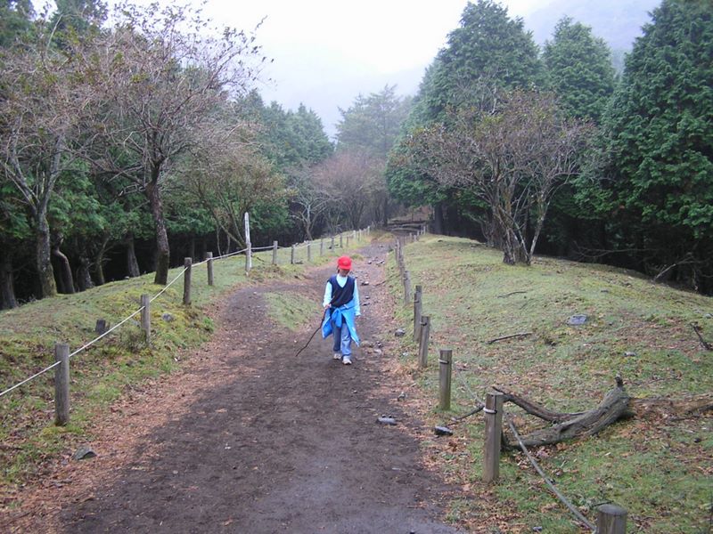 鍋割山 -- この後はひたすら大倉尾根を下りました