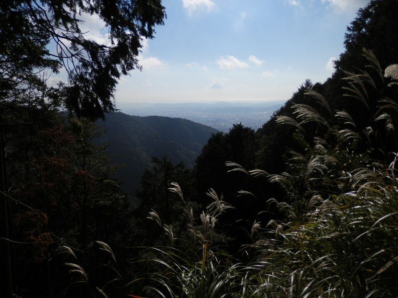 鍋割山稜 -- 見晴茶屋付近から、秦野市街地を望む