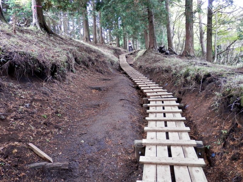 鍋割山稜 -- 大倉尾根には、先回来た時よりも木道が増えていた