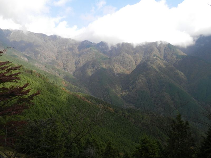 鍋割山稜 -- 大倉尾根より、表尾根を望む