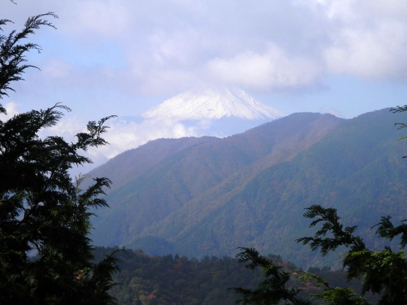 大倉尾根の、富士山ビューポイントより