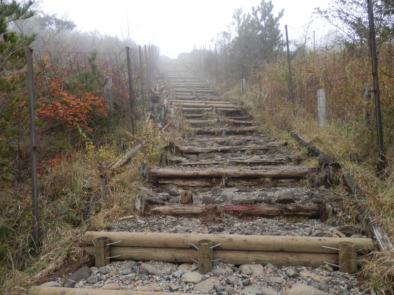 鍋割山稜 -- 花立直下の階段道