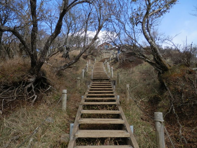 鍋割山稜 -- 塔ノ岳直下