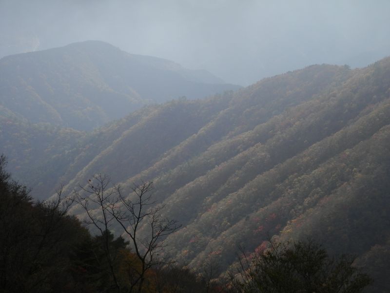 鍋割山稜 -- 鍋割山の南に延びる稜線