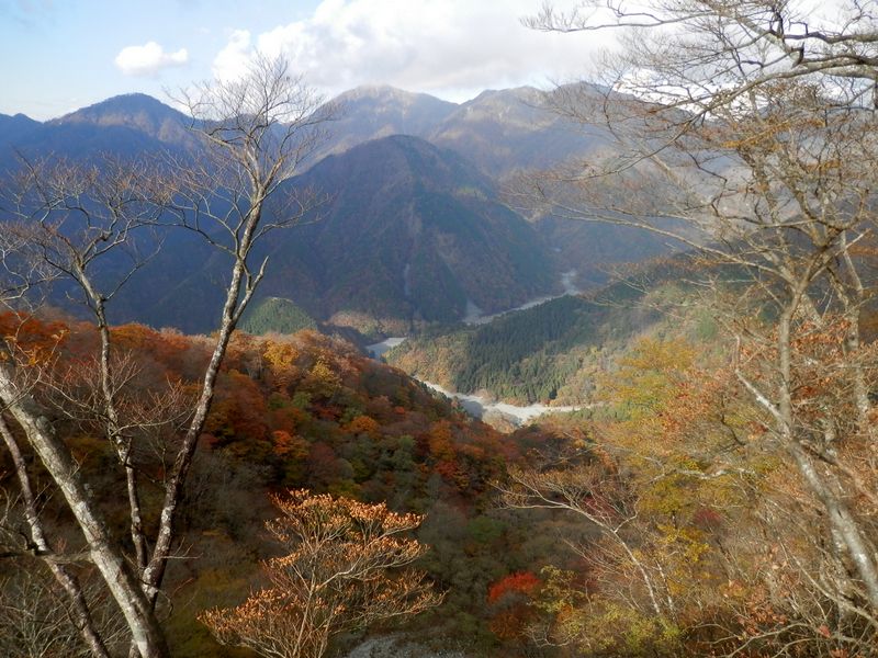 鍋割山稜より、蛭ヶ岳と箒杉沢を望む