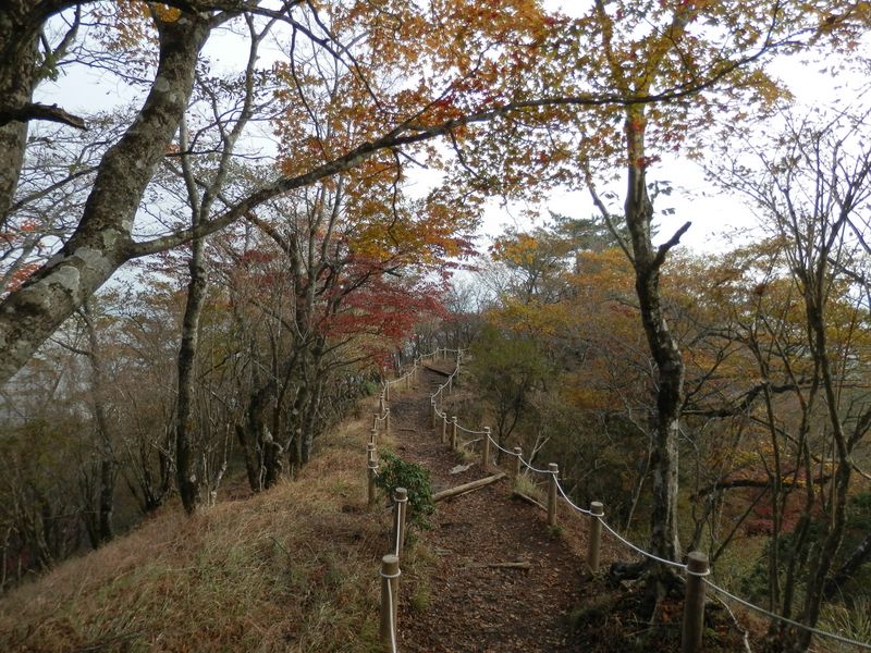 鍋割山稜 -- 鍋割山から後沢乗越に下る道