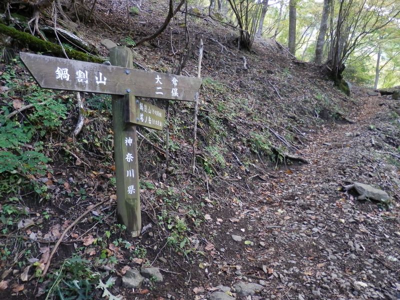 鍋割山稜 -- 小丸尾根への分岐