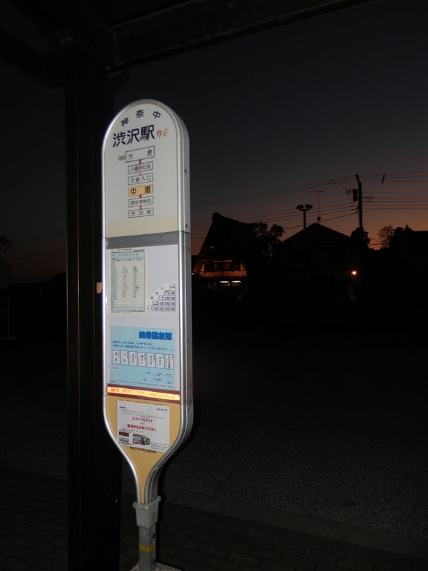 鍋割山稜 -- 大倉バス停に到着