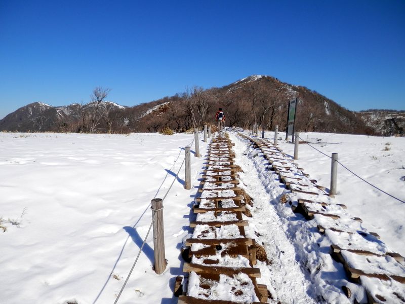 花立より、行く手に塔ノ岳を望む