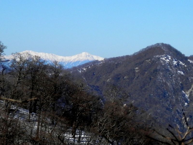 同角ノ頭の肩に北岳